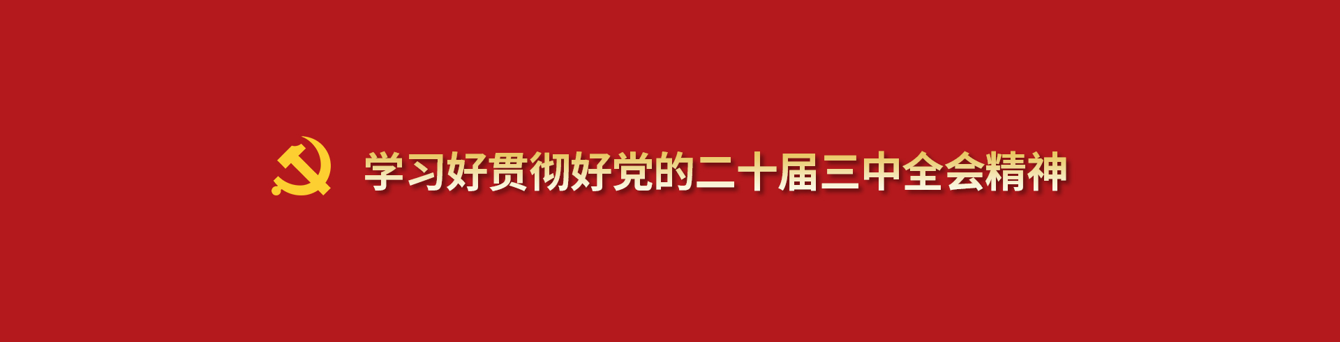 學(xué)習(xí)好貫徹好黨的二十屆三中全會精神